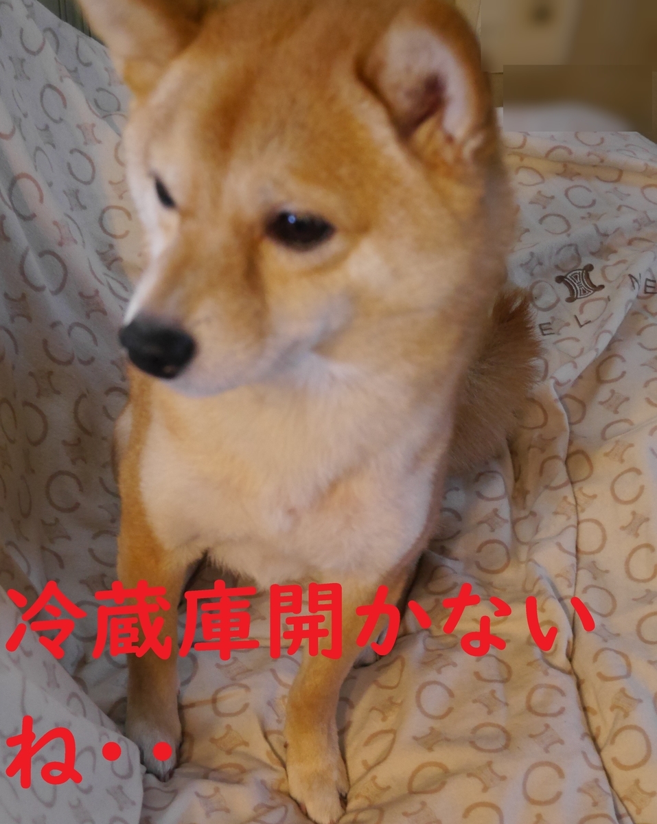 f:id:hanatara:20210316093855j:plain