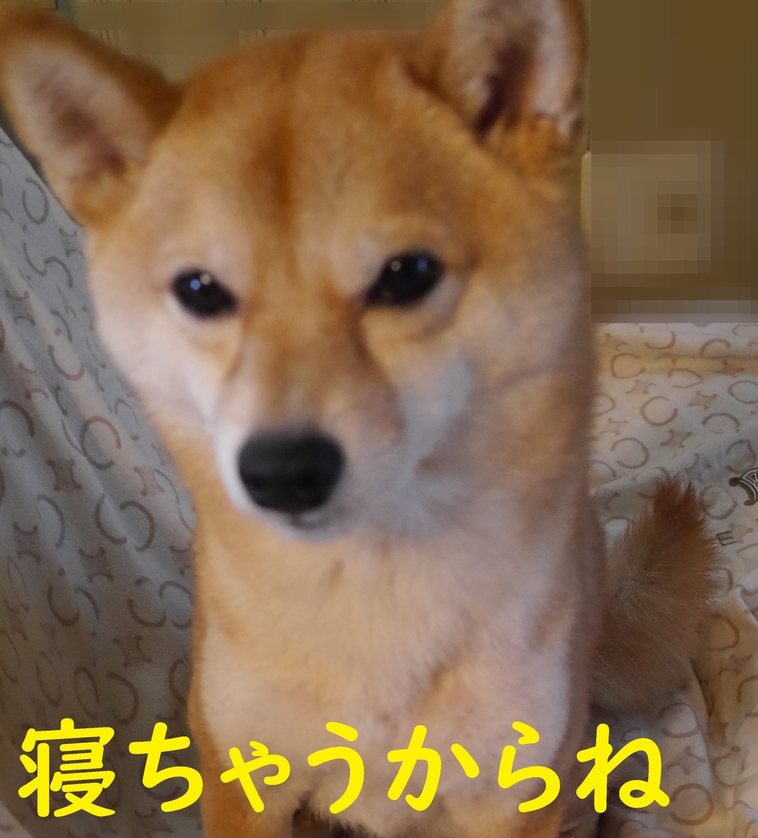 f:id:hanatara:20210316094029j:plain