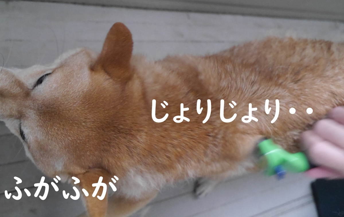 f:id:hanatara:20210321084219j:plain