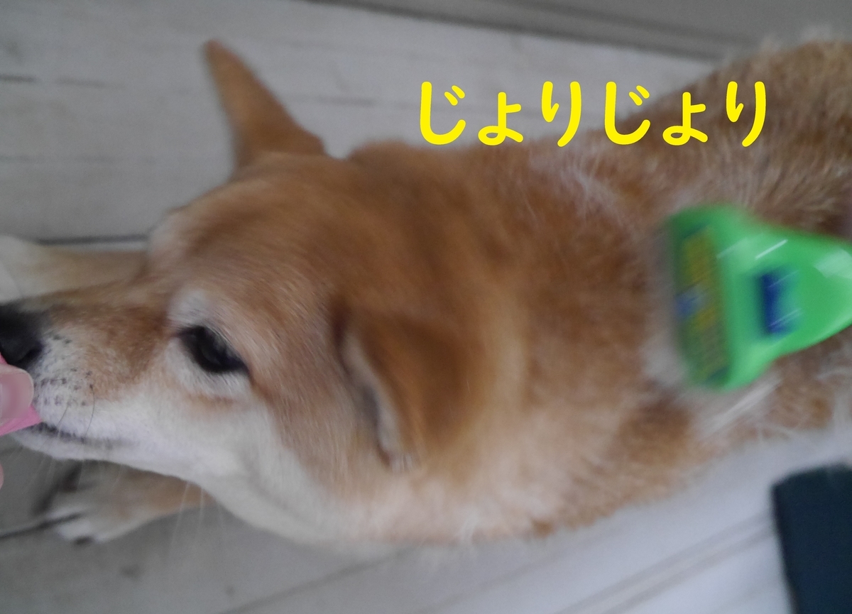 f:id:hanatara:20210321084509j:plain