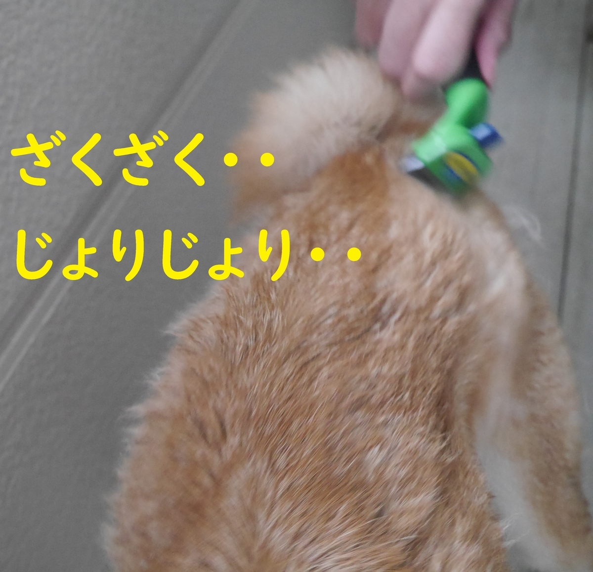 f:id:hanatara:20210321084614j:plain