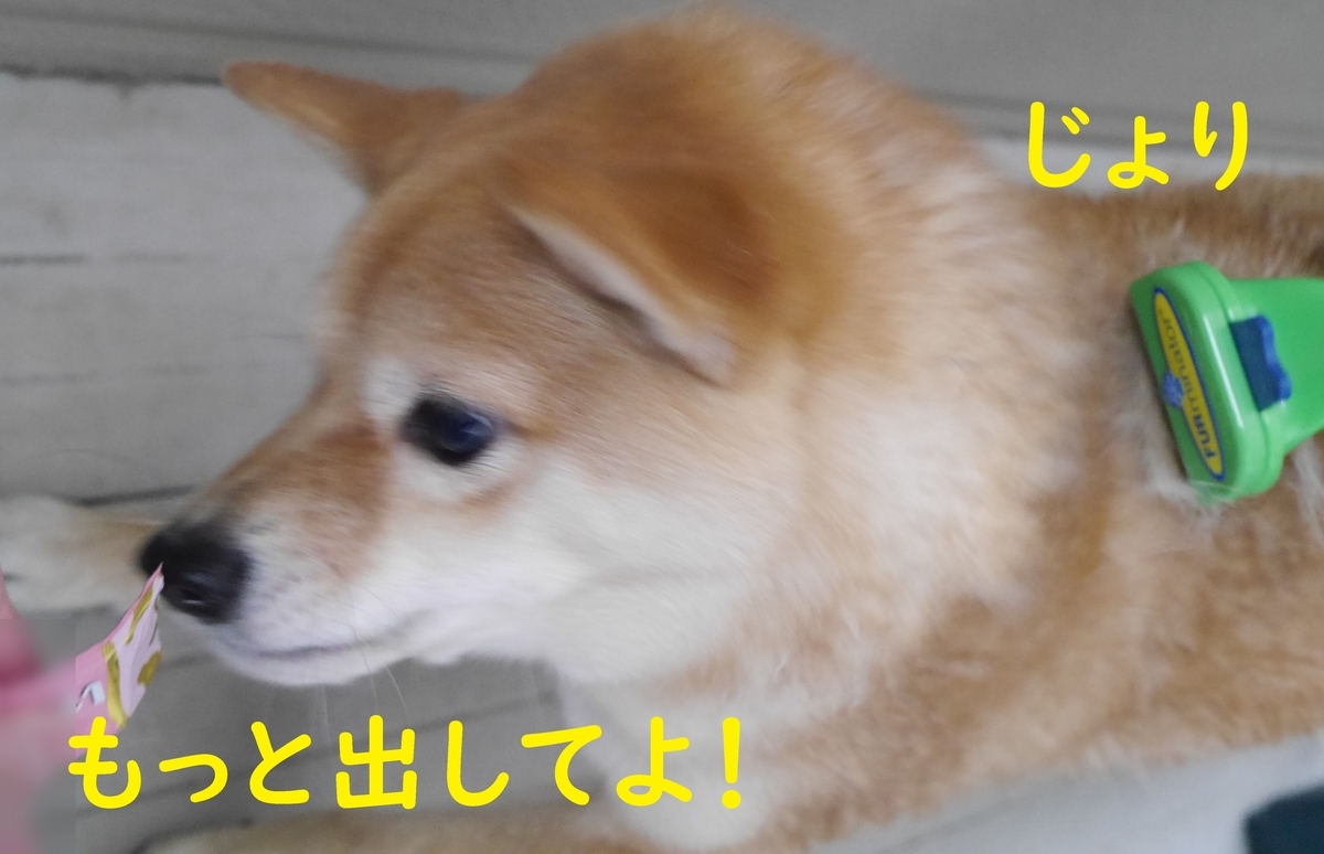 f:id:hanatara:20210321084746j:plain