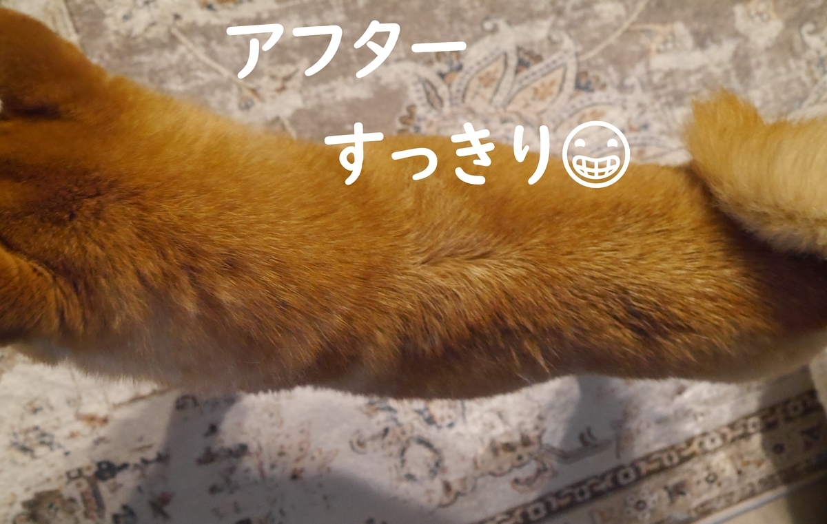f:id:hanatara:20210321085340j:plain