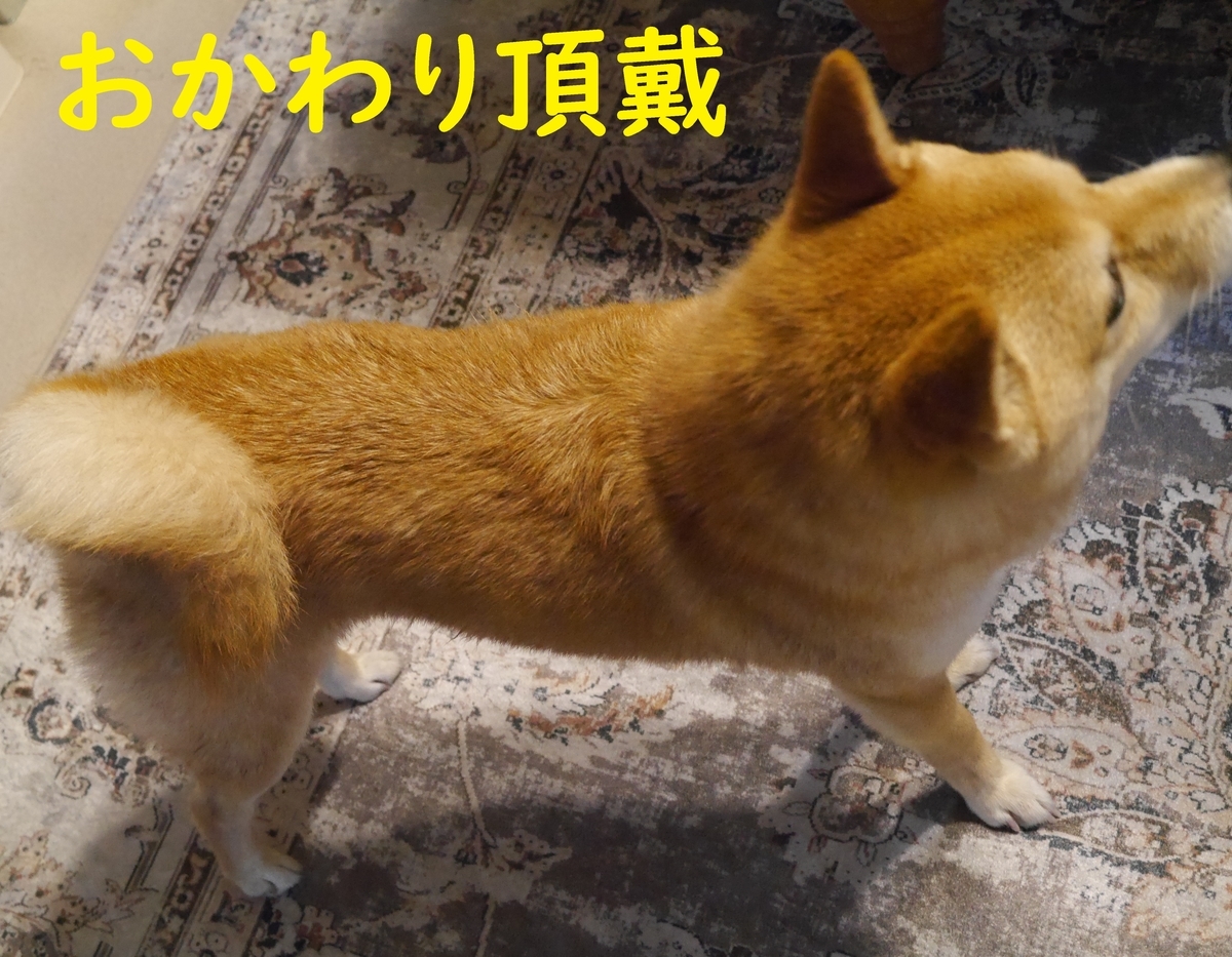 f:id:hanatara:20210321085526j:plain