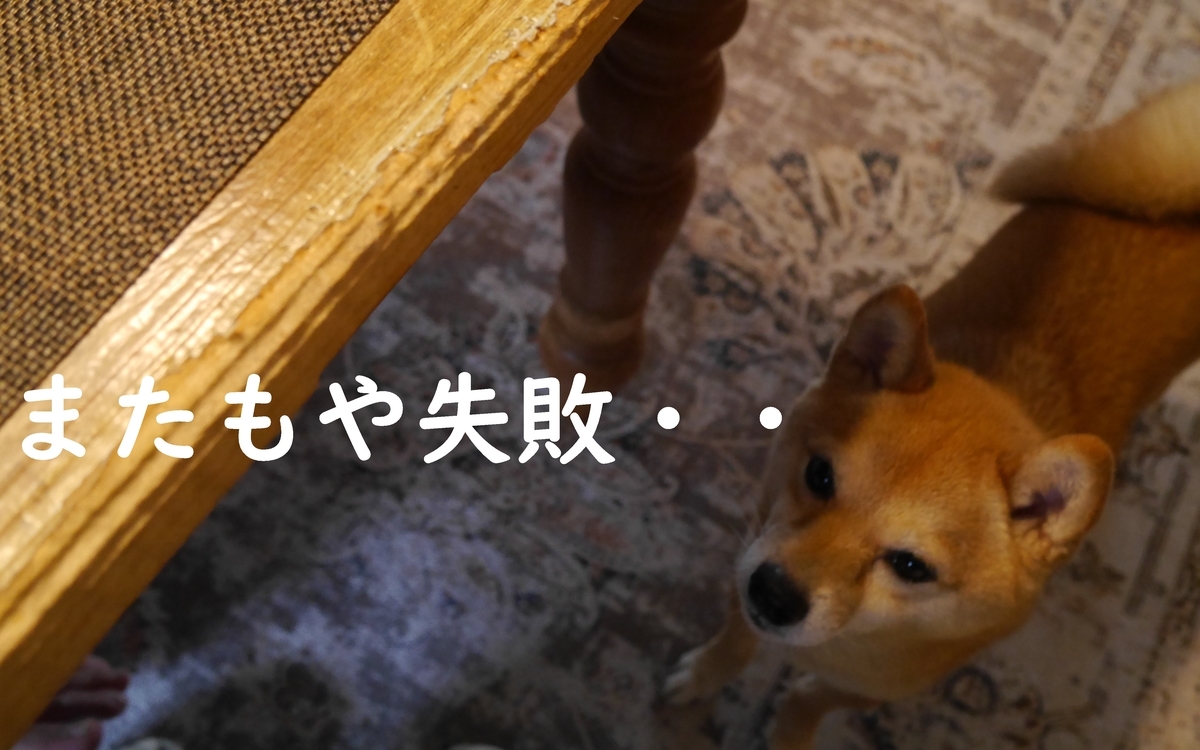 f:id:hanatara:20210325084719j:plain