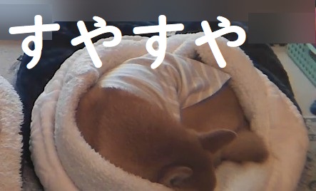 f:id:hanatara:20210325101227j:plain