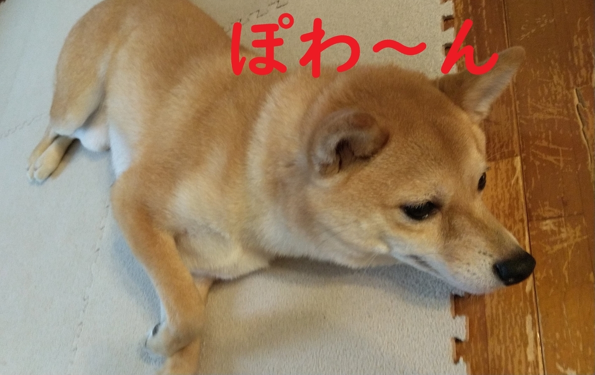 f:id:hanatara:20210325102125j:plain
