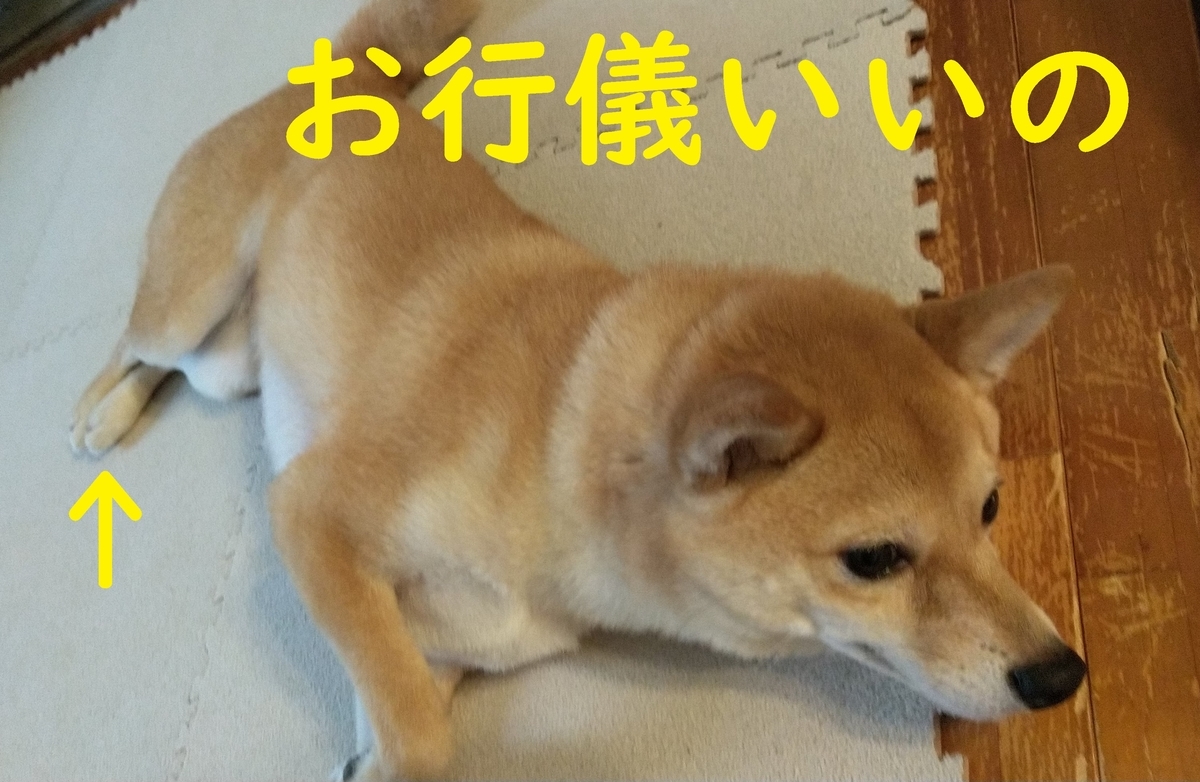 f:id:hanatara:20210325102258j:plain