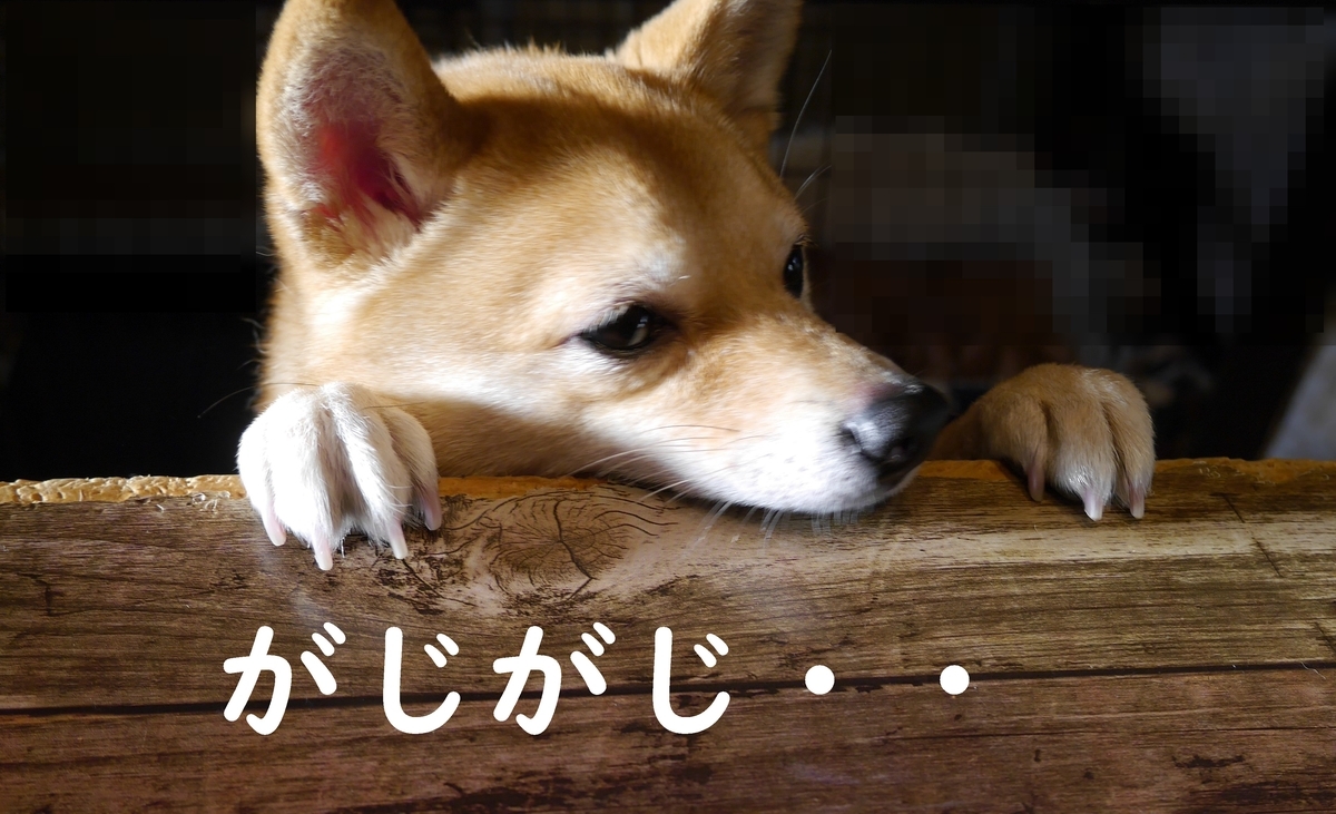 f:id:hanatara:20210330081936j:plain