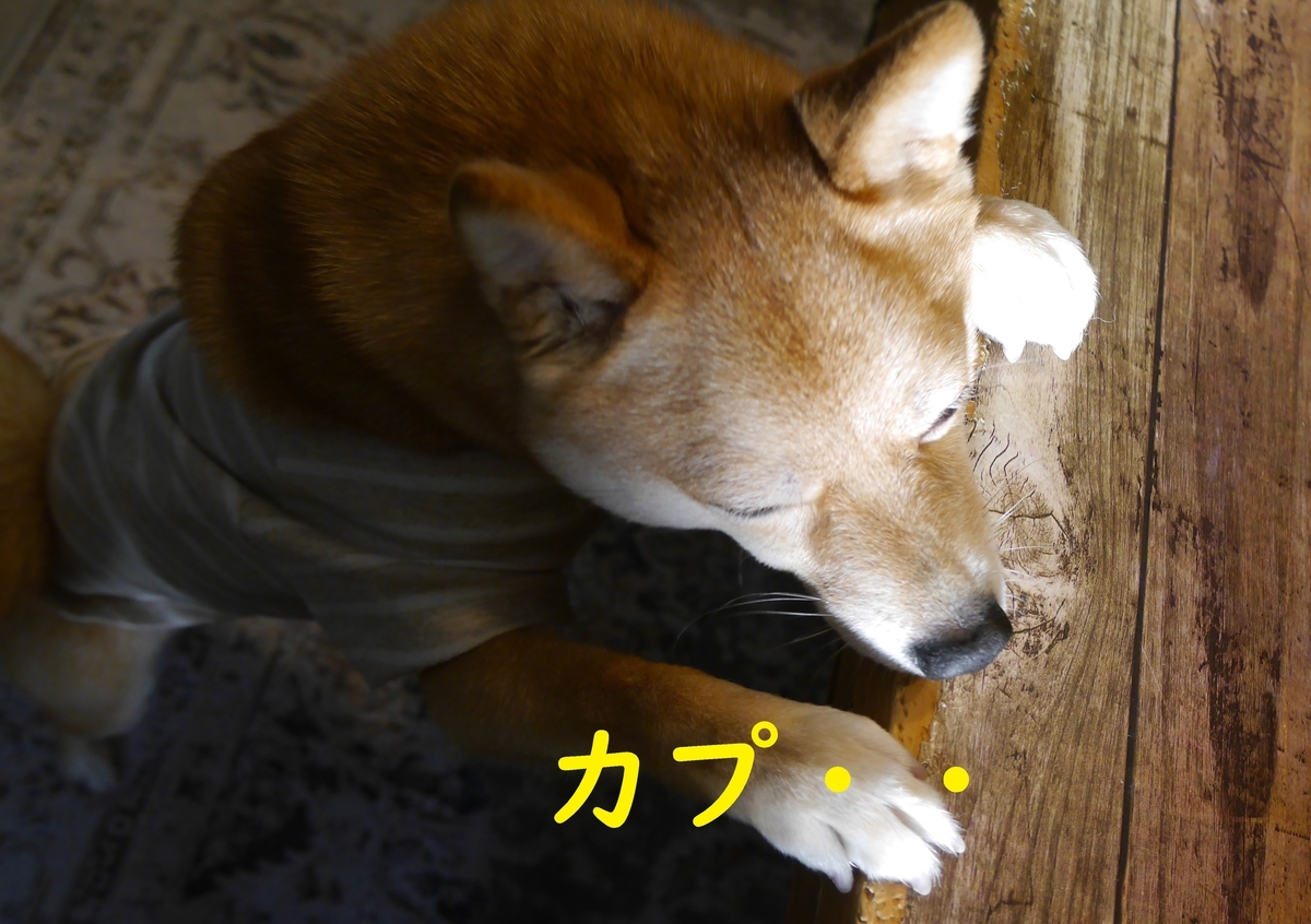 f:id:hanatara:20210330082304j:plain