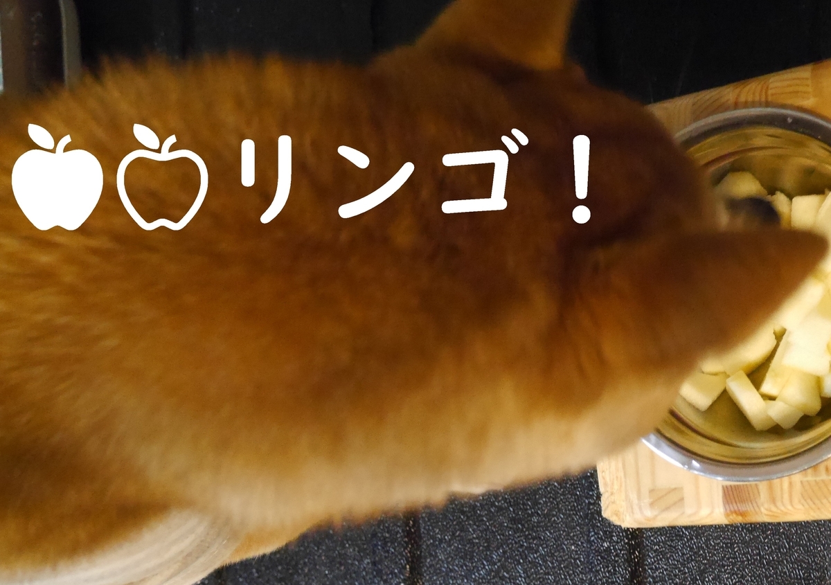 f:id:hanatara:20210330082915j:plain
