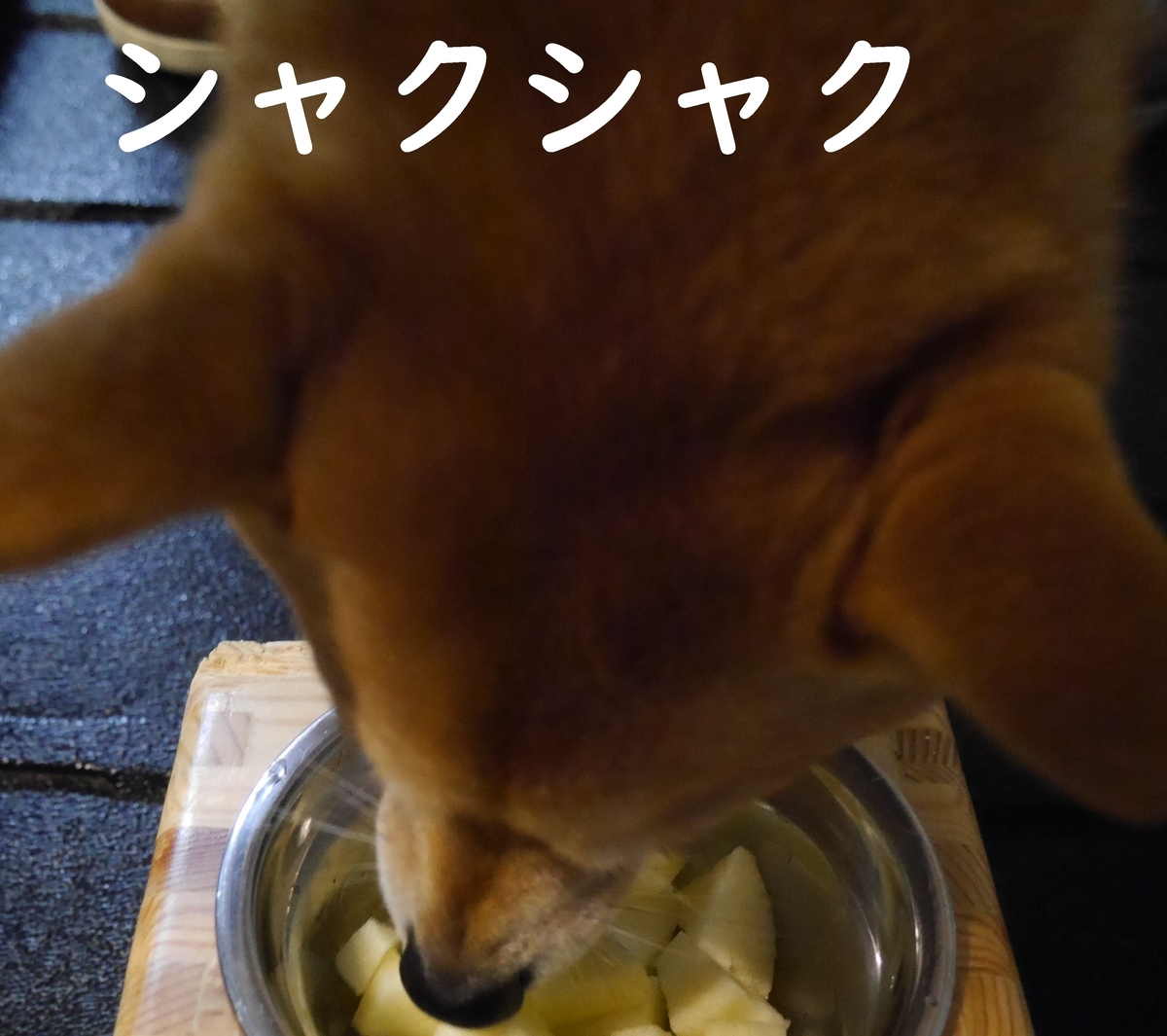 f:id:hanatara:20210330083224j:plain