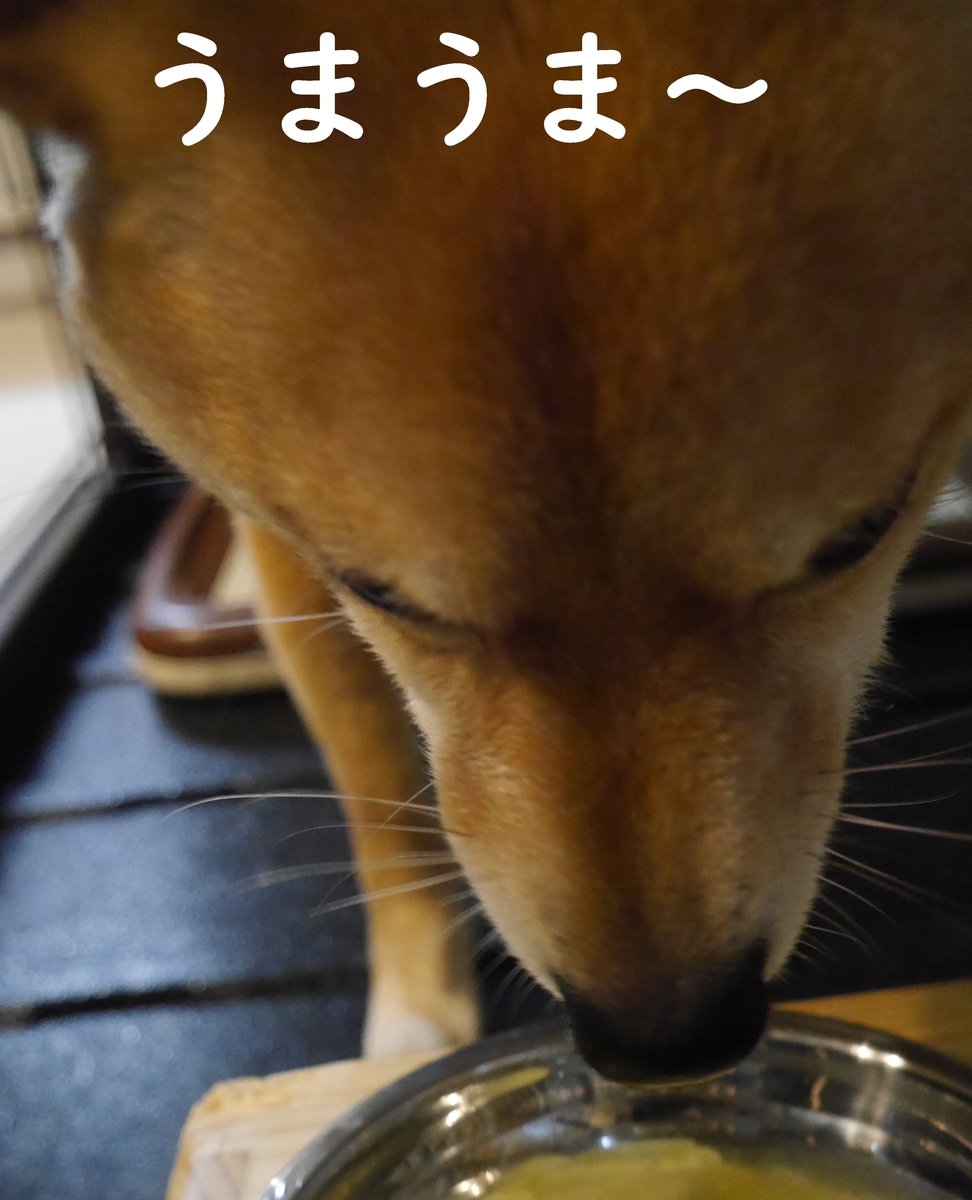 f:id:hanatara:20210330083317j:plain