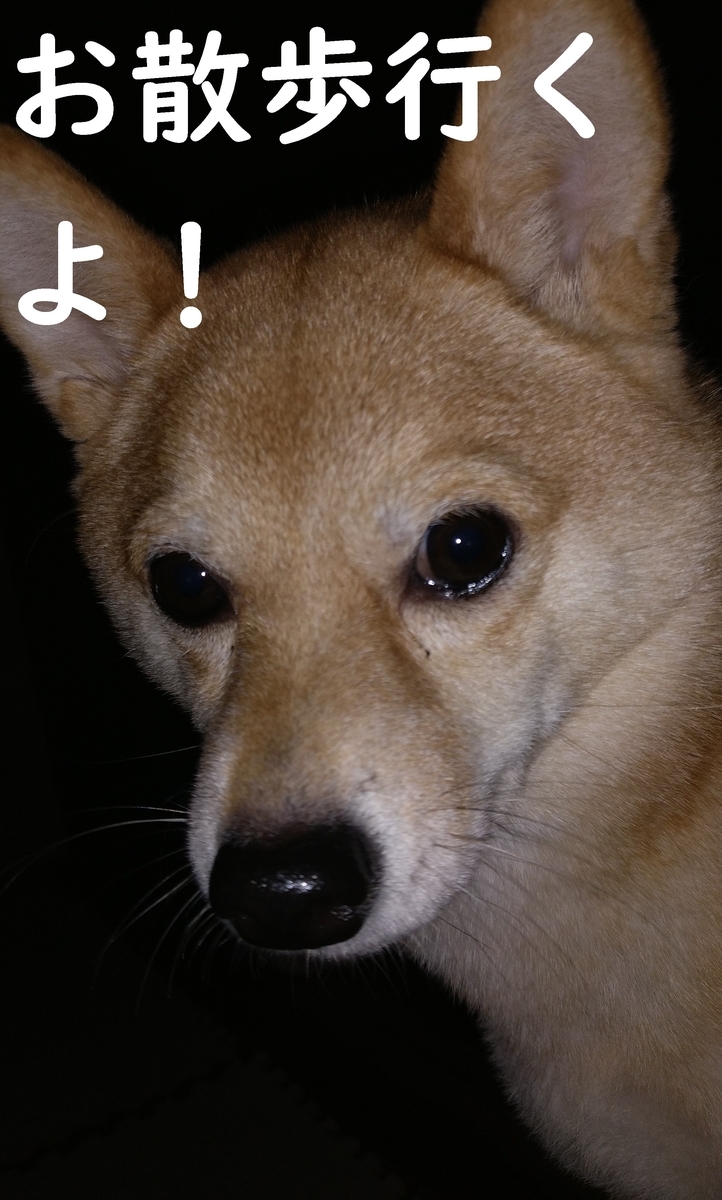 f:id:hanatara:20210403073042j:plain