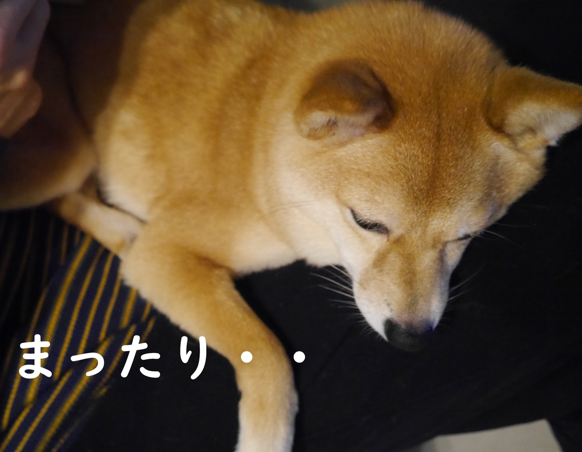 f:id:hanatara:20210403081734j:plain