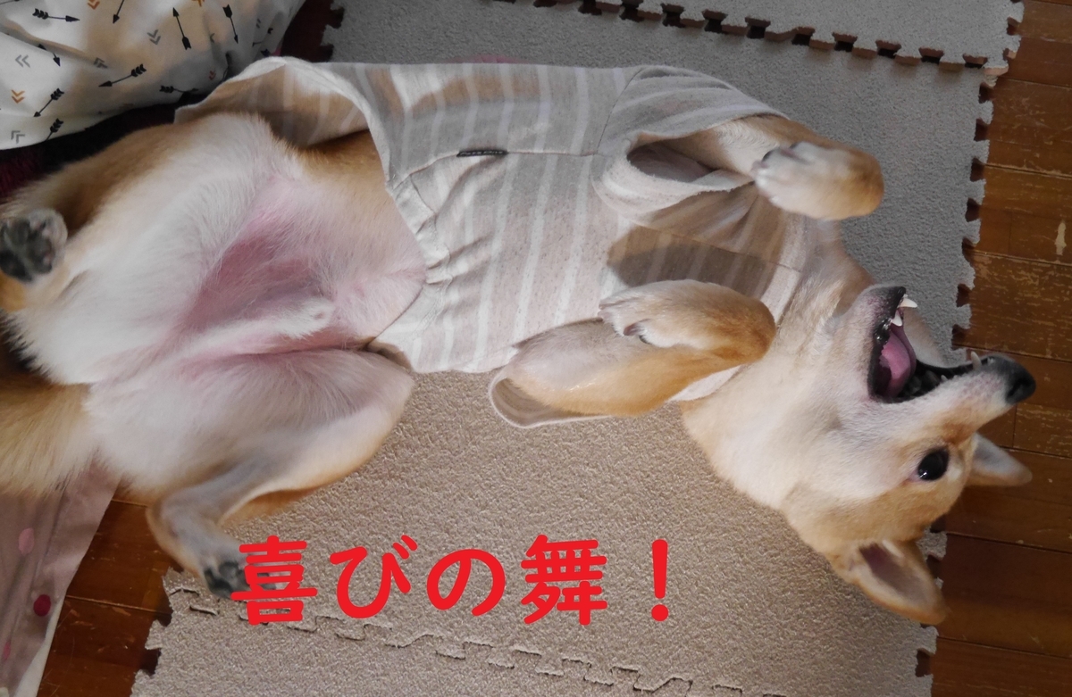 f:id:hanatara:20210403092124j:plain