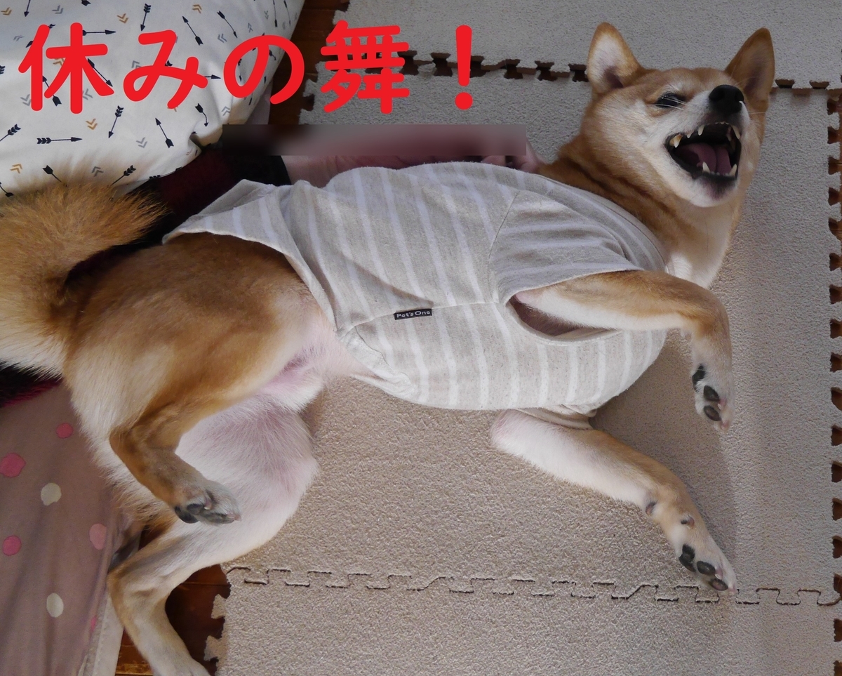 f:id:hanatara:20210403092420j:plain