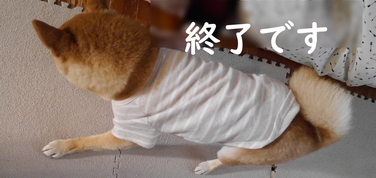 f:id:hanatara:20210403093142j:plain
