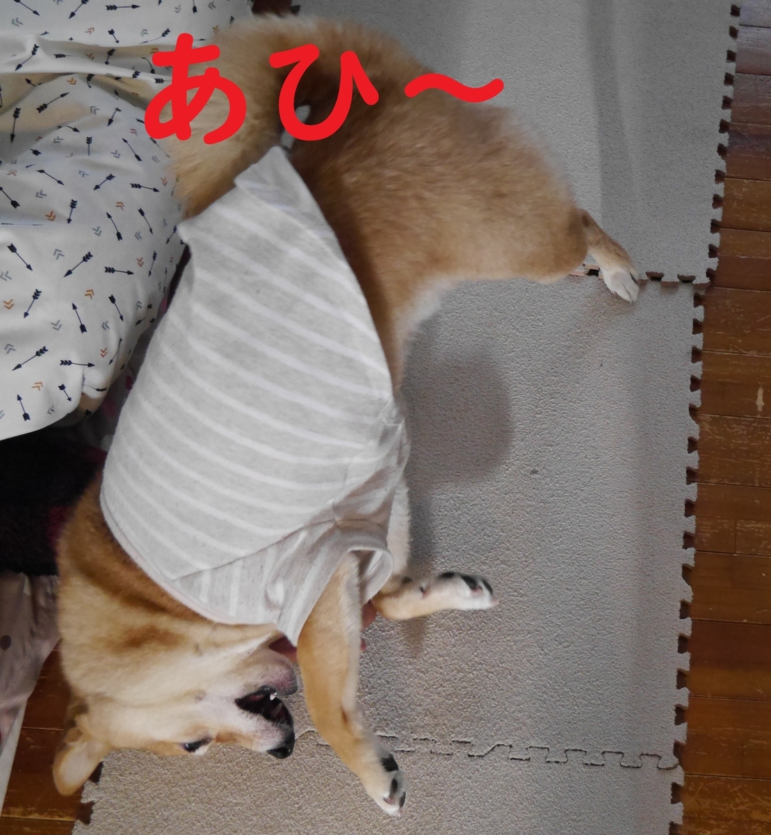 f:id:hanatara:20210403093236j:plain