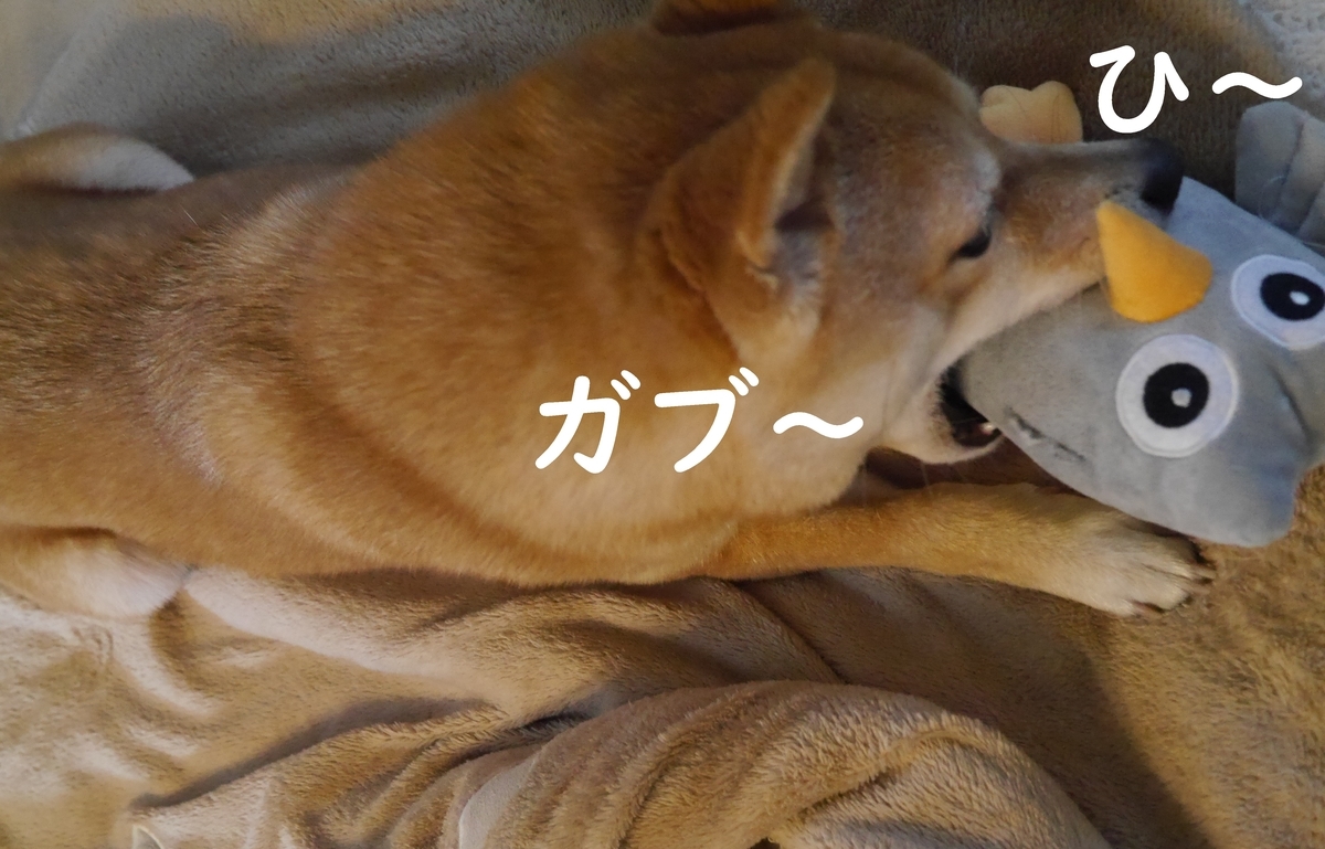f:id:hanatara:20210411084008j:plain
