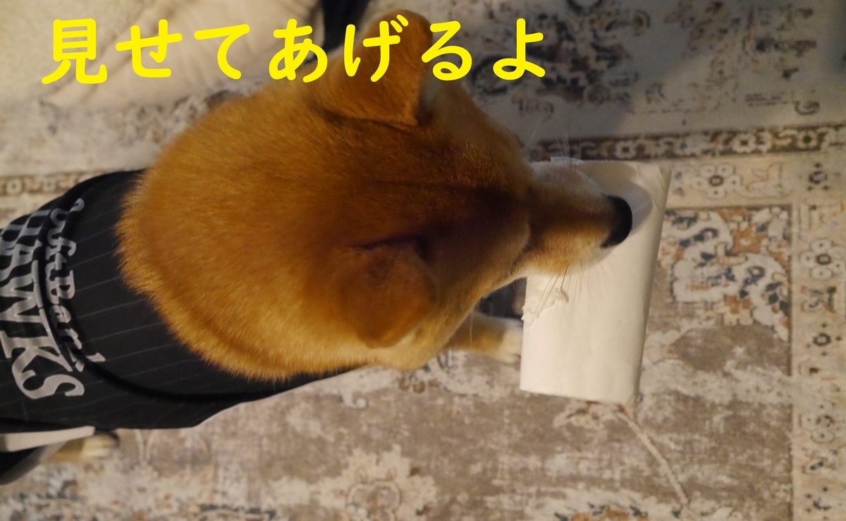 f:id:hanatara:20210413074513j:plain