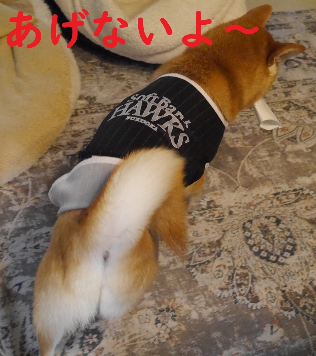 f:id:hanatara:20210413080206j:plain