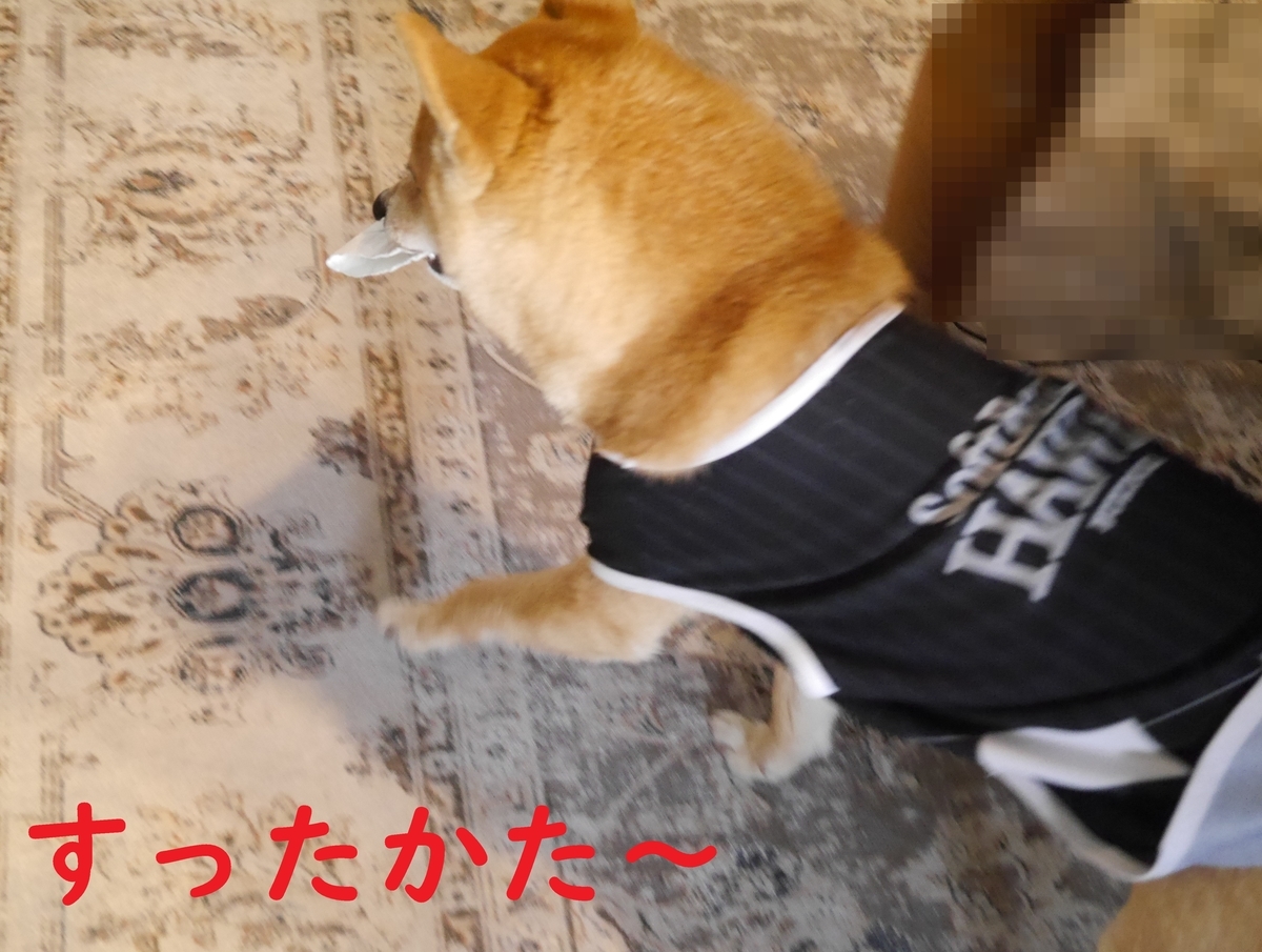 f:id:hanatara:20210413080329j:plain