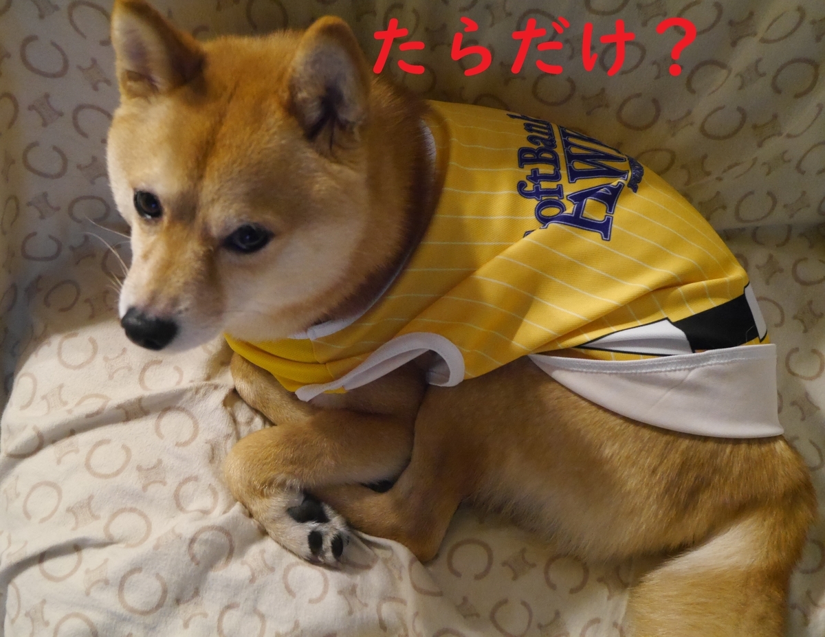 f:id:hanatara:20210417091551j:plain