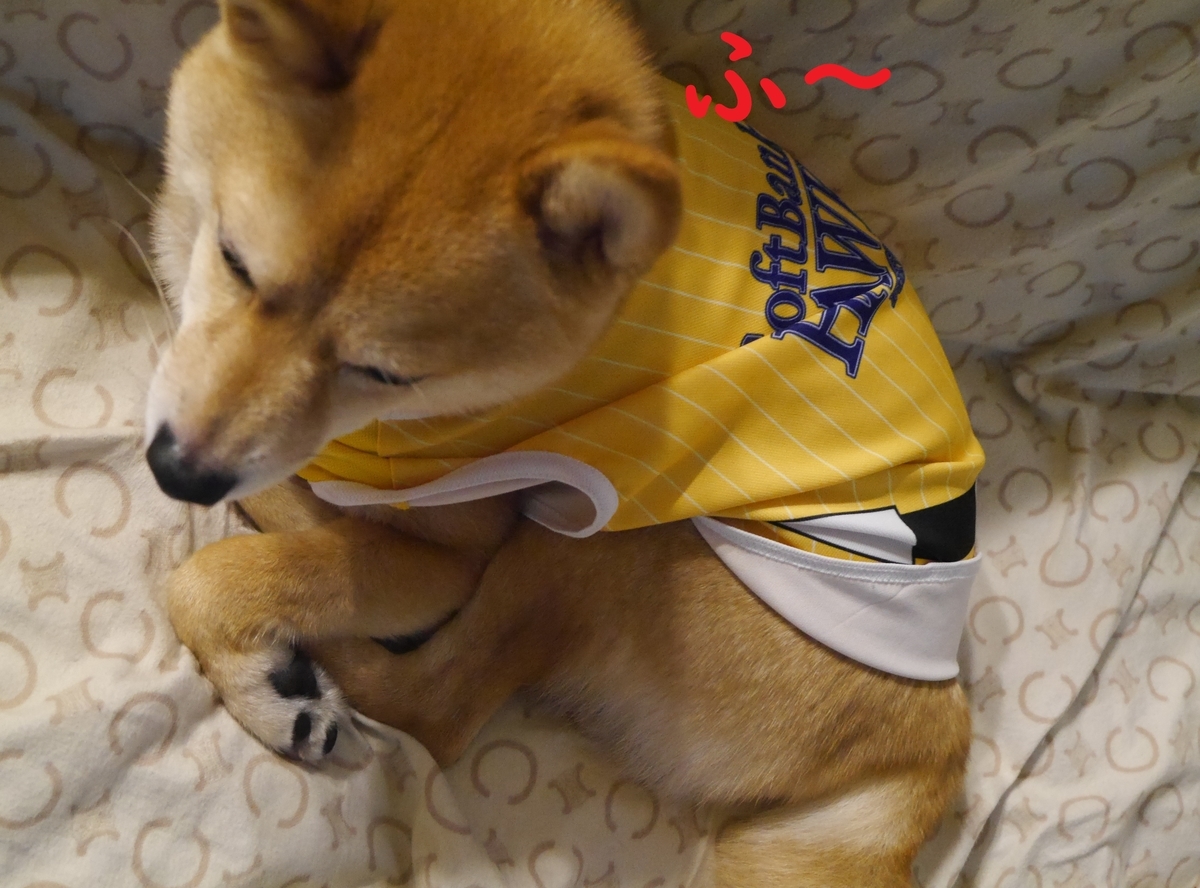f:id:hanatara:20210417091729j:plain