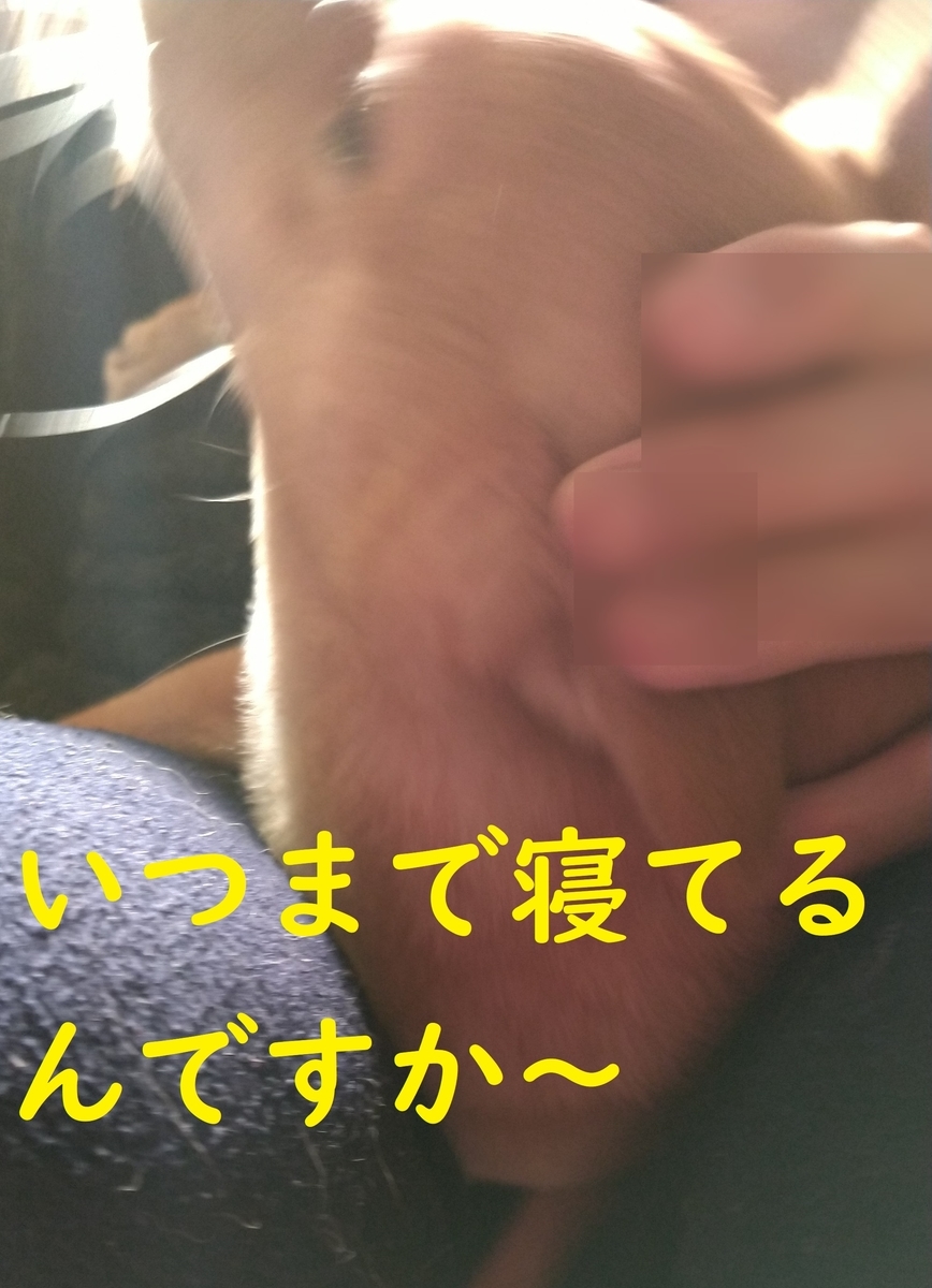f:id:hanatara:20210417102405j:plain