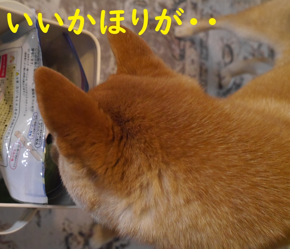 f:id:hanatara:20210421092722j:plain