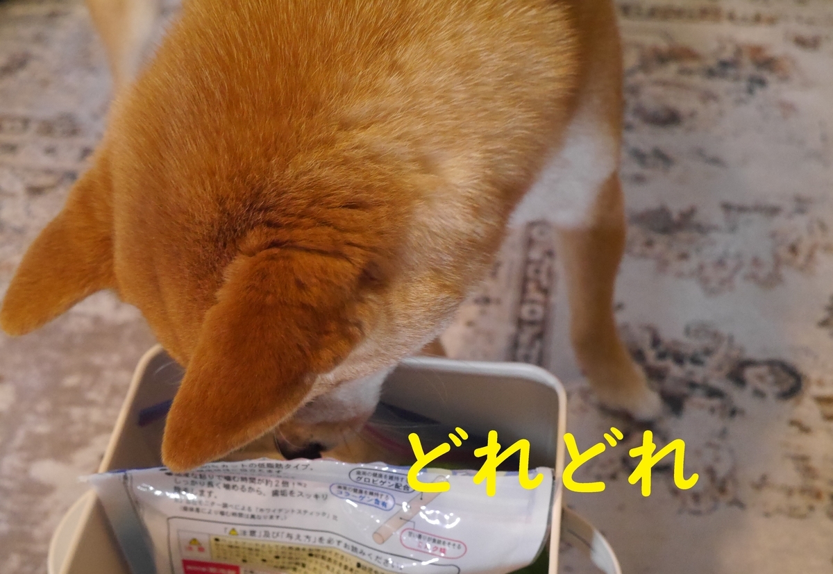 f:id:hanatara:20210421092922j:plain
