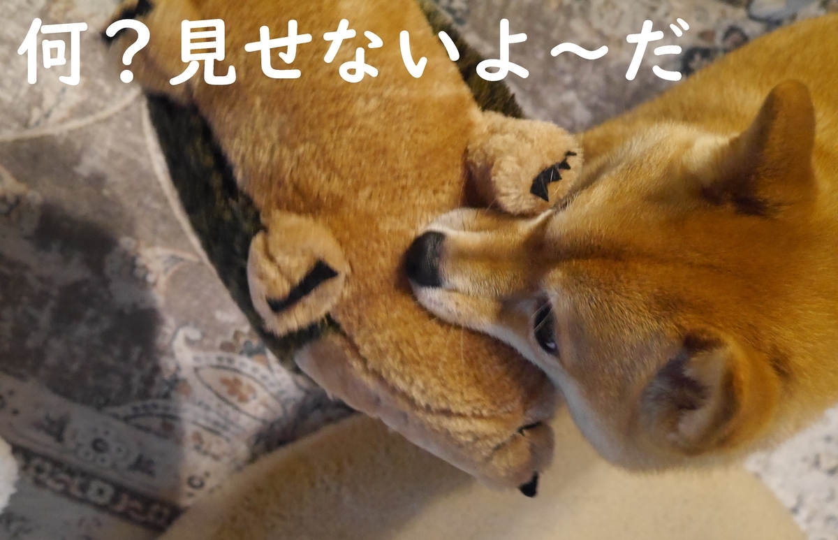 f:id:hanatara:20210421095315j:plain
