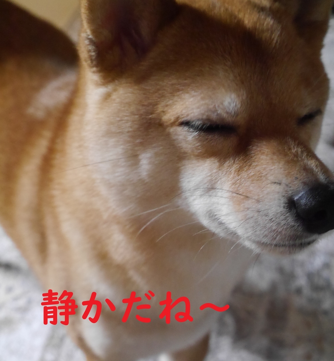 f:id:hanatara:20210429090927j:plain