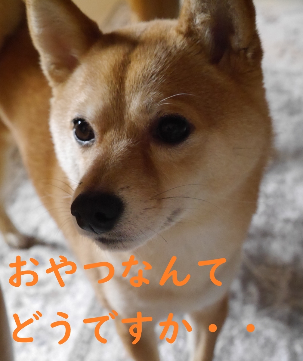 f:id:hanatara:20210429091941j:plain
