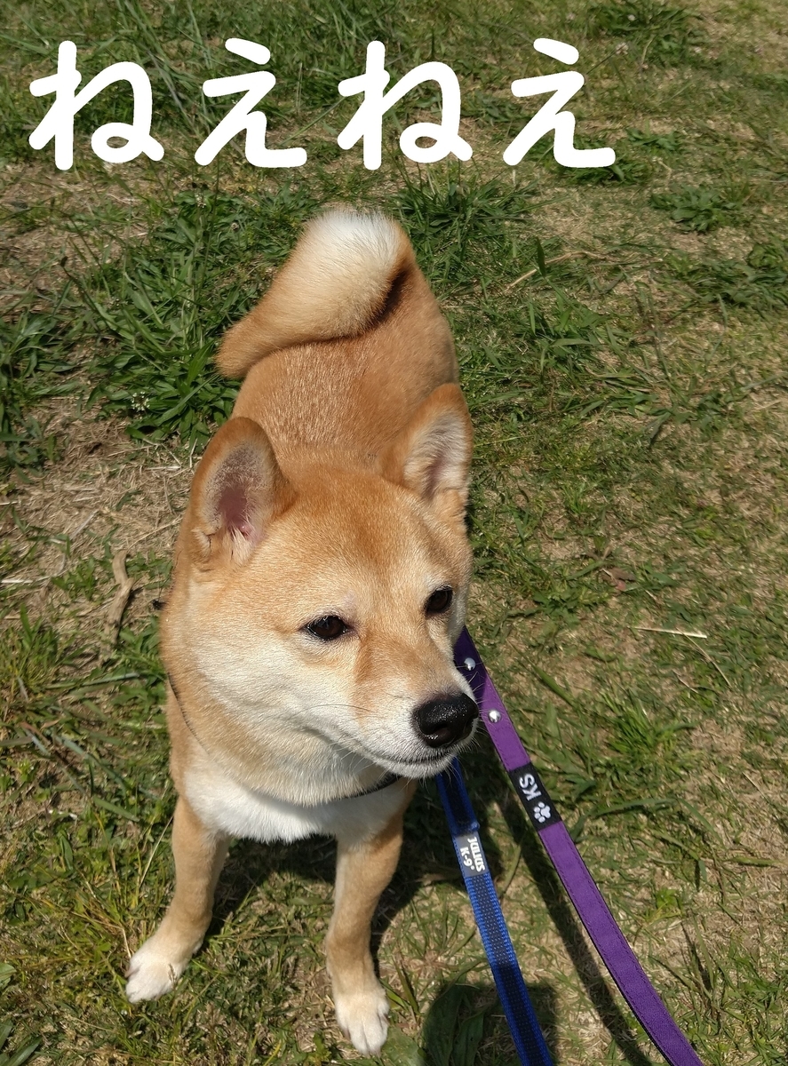 f:id:hanatara:20210501085350j:plain