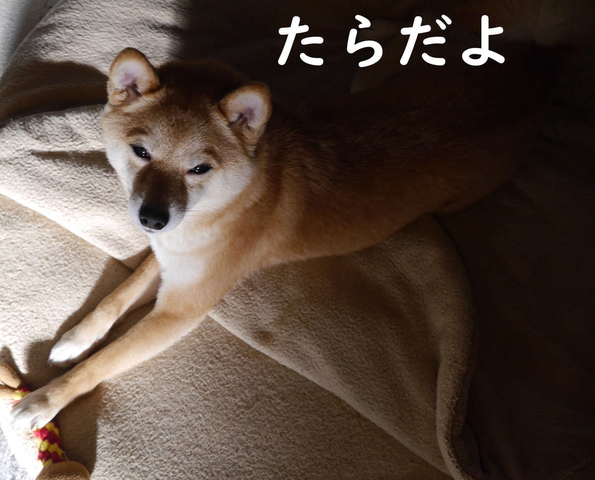 f:id:hanatara:20210504111239j:plain