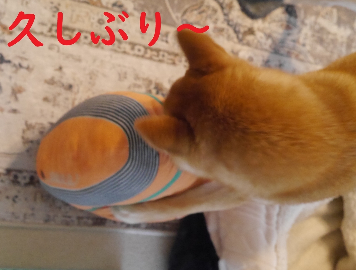 f:id:hanatara:20210505102024j:plain