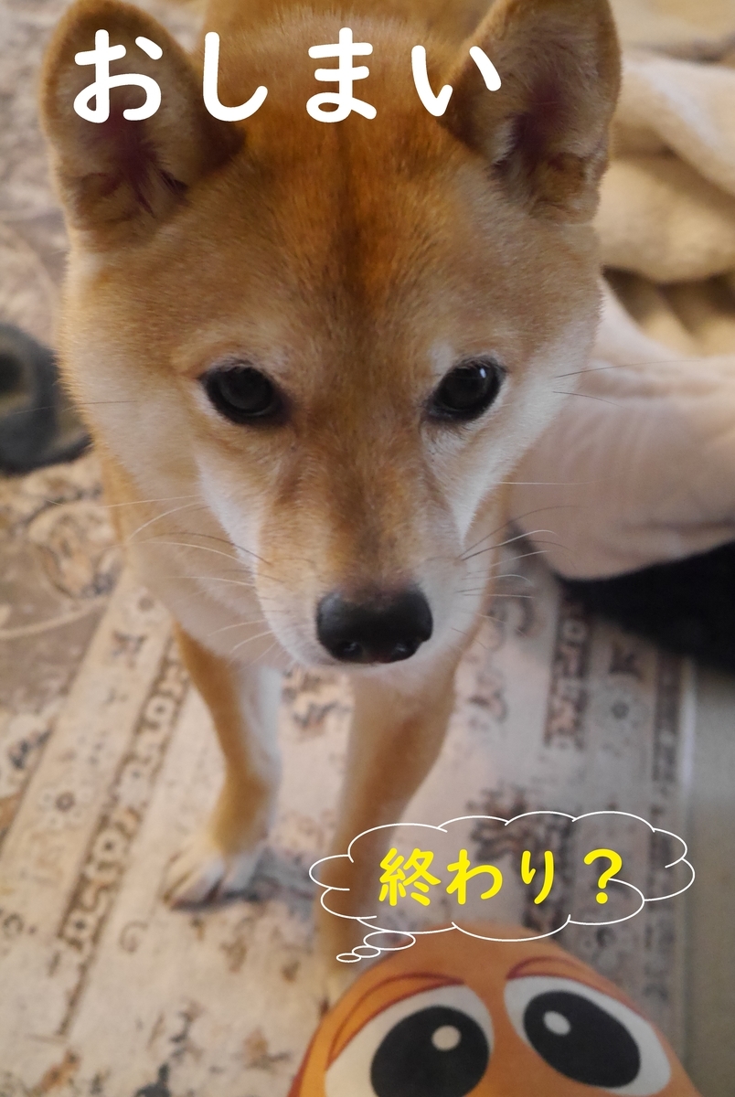 f:id:hanatara:20210505102944j:plain
