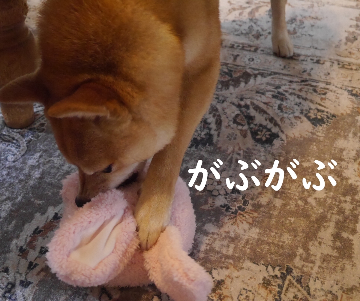 f:id:hanatara:20210511134000j:plain