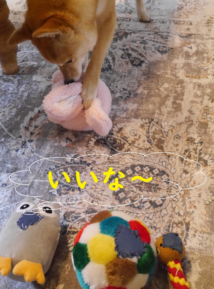 f:id:hanatara:20210511134108j:plain