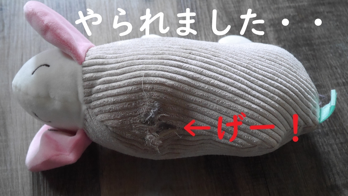 f:id:hanatara:20210522091122j:plain