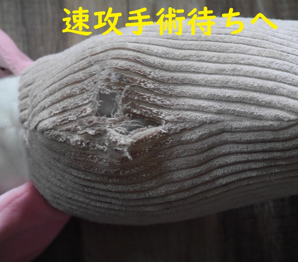 f:id:hanatara:20210522091240j:plain