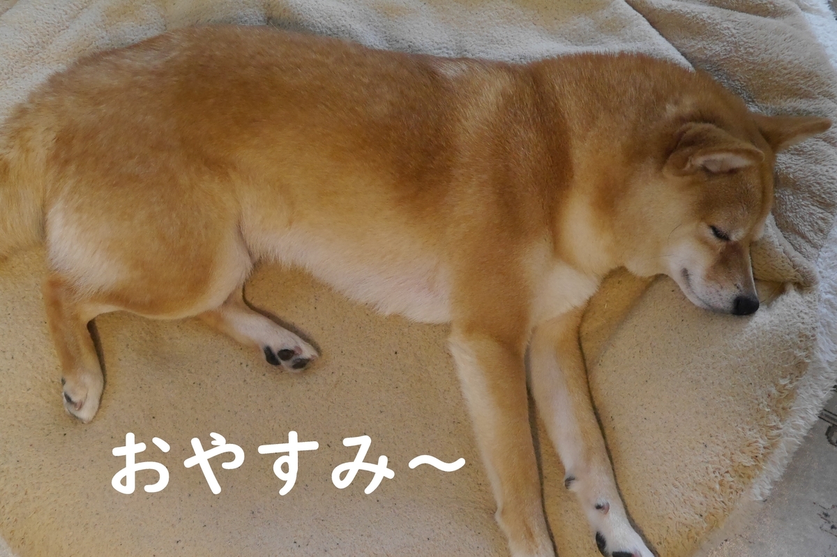 f:id:hanatara:20210522123144j:plain