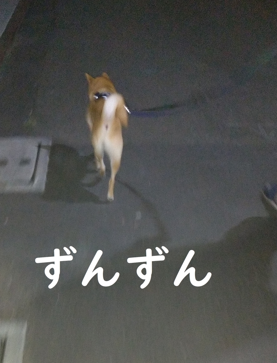 f:id:hanatara:20210525110713j:plain