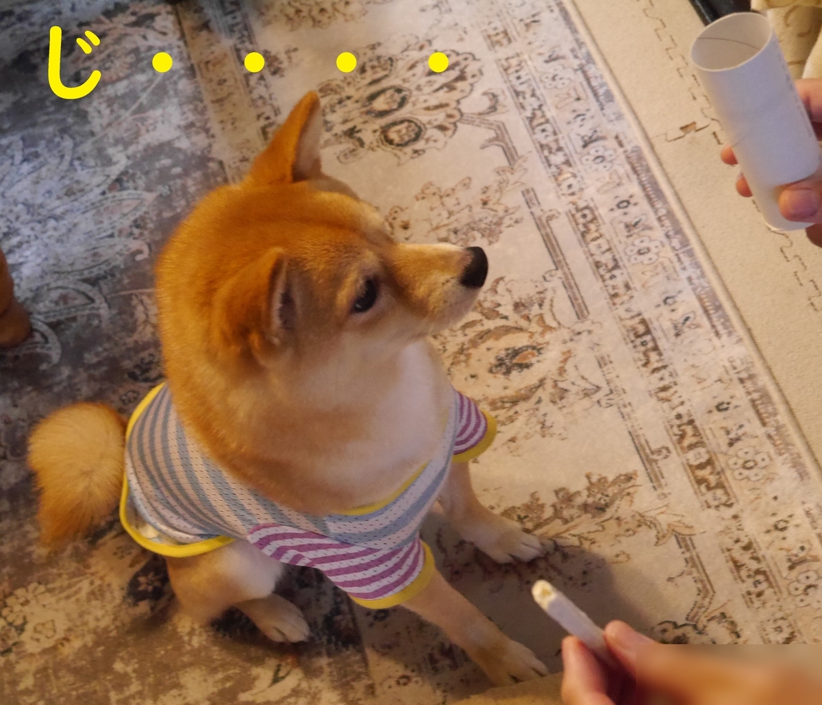 f:id:hanatara:20210530080252j:plain