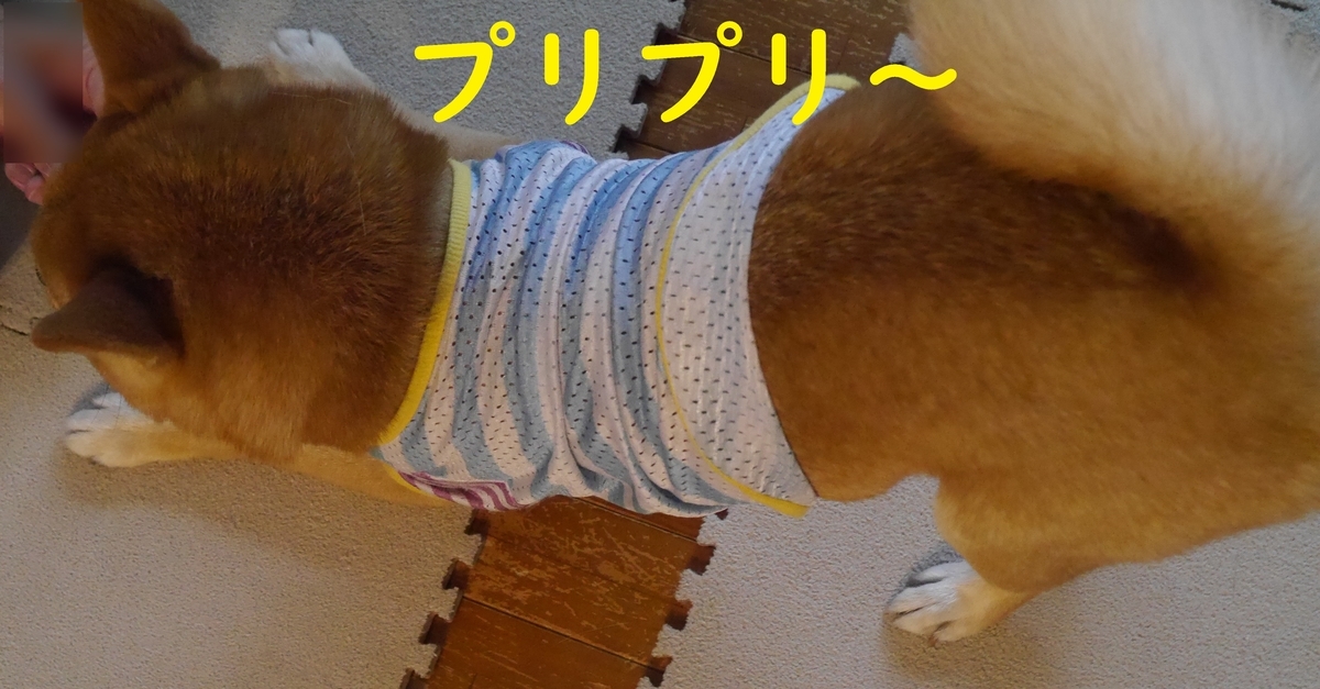 f:id:hanatara:20210530094002j:plain