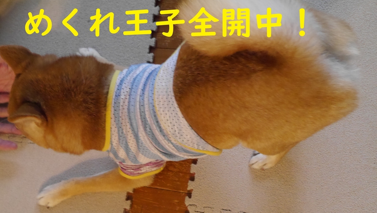 f:id:hanatara:20210530094053j:plain