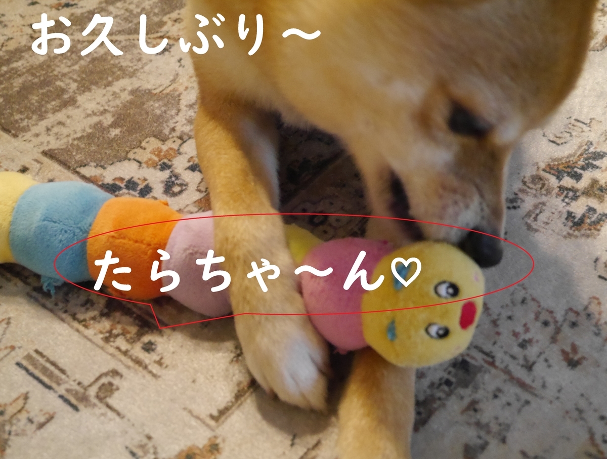 f:id:hanatara:20210530094544j:plain