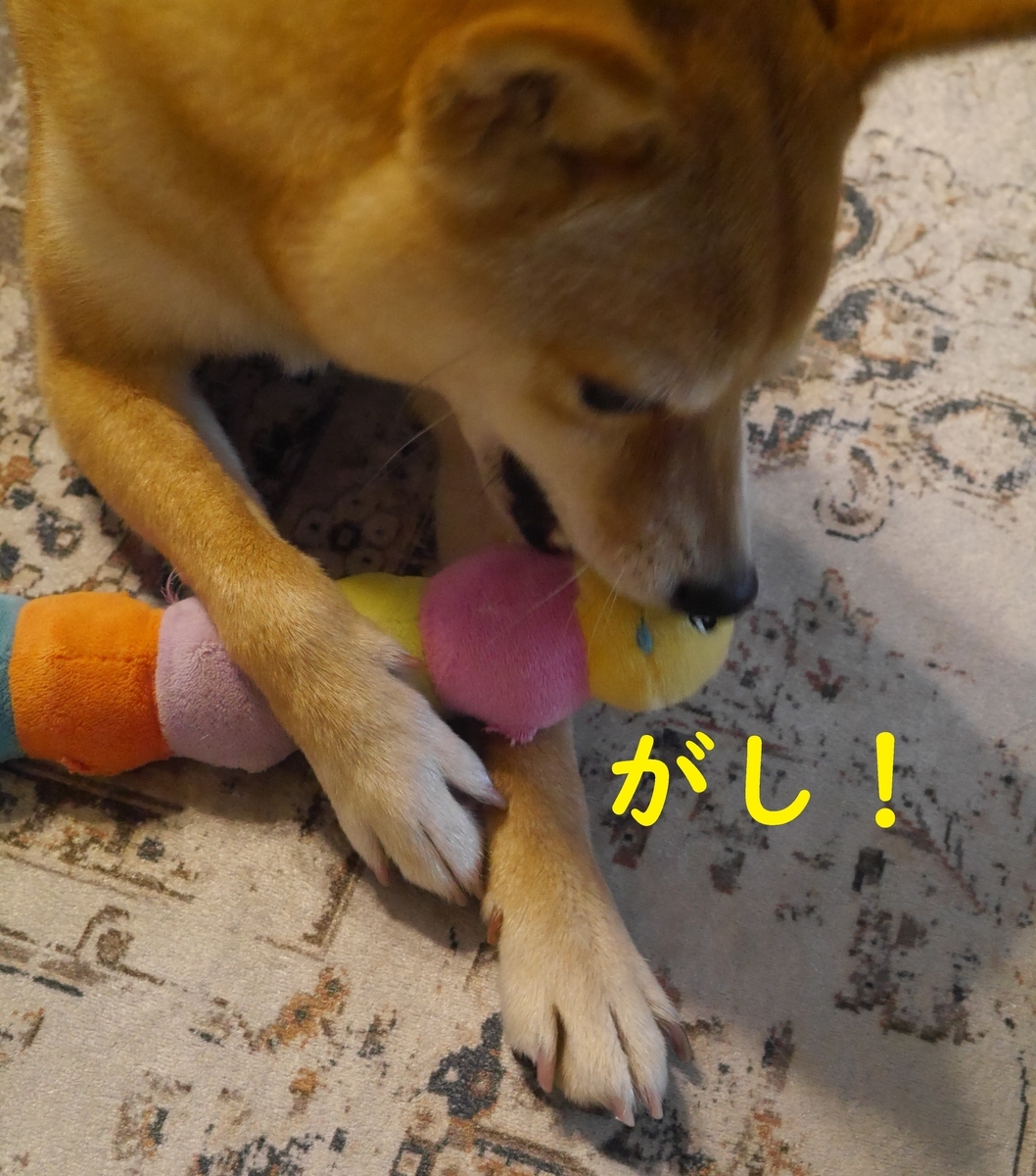 f:id:hanatara:20210530095221j:plain